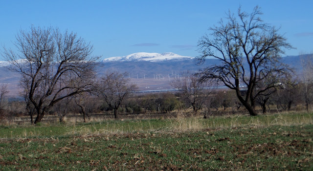 Camino Mozárabe, Jérez del Marquesado