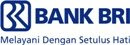 LOWONGAN KERJA BANK BRI MARET 2010