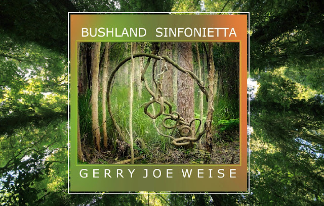 Gerry Joe Weise, Bushland Sinfonietta, Woodwinds and Strings