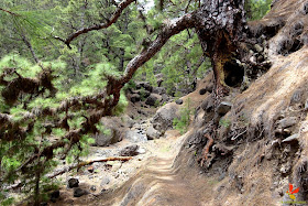 Itinerari circular a la Caldera de Taburiente