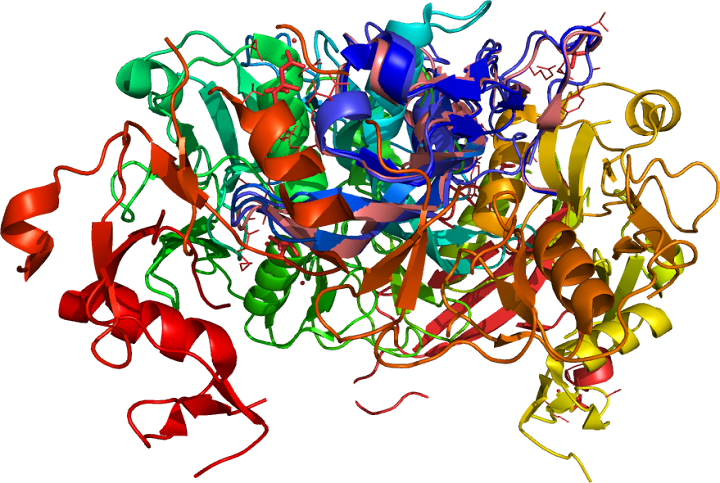 3hh2-(Myostatin) of known structure IPR008197 Whey_acidic_protein
