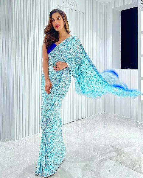 Sophie Choudry shimmery saree hot bollywood actress