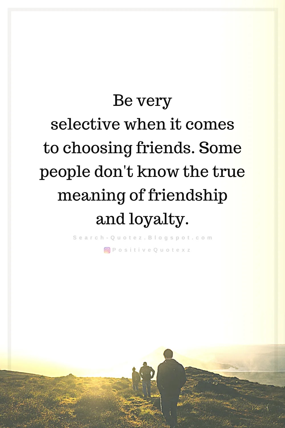 Search Quotes