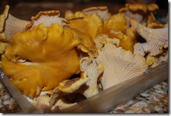 chanterelle-pasta (1)