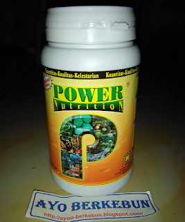 jual pupuk power nutrition