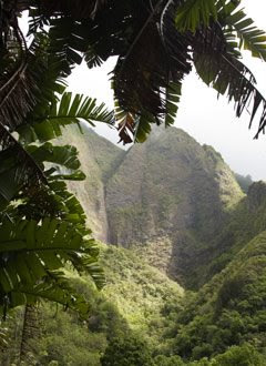 Iao Valley west of Kahului