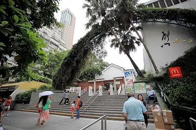 香港親子遊交通住宿、景點美食懶人包