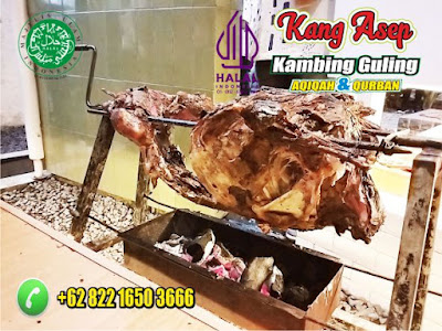 Kambing Guling di Kadungora Garut,Kambing Guling di Kadungora,Kambing Guling Kadungora,Kambing Guling,