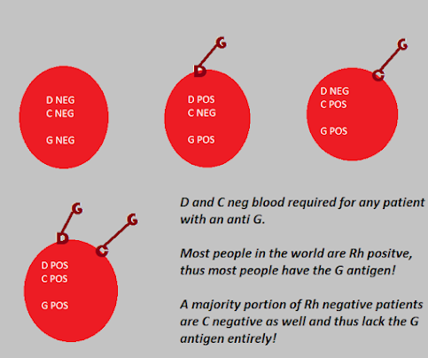 G antigen -- D and C antigen -- How Anti G is formed