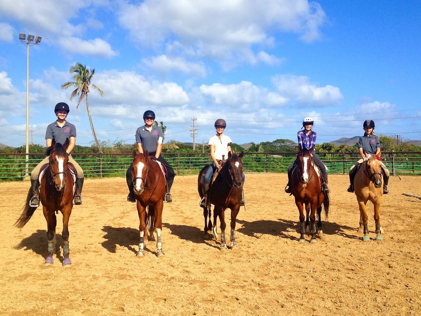 mounted meeting