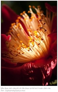 Kỹ năng chụp hình