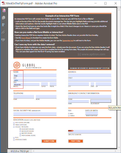 Pic. 3 The normal version of the form filled using FDF created on the fly