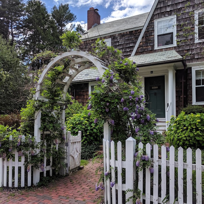 Portland, Maine USA June 2019 photo by Corey Templeton. A house on Danforth Street with some curb appeal.