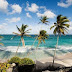 Kampung Rihanna, Ini Loh Destinasi Wisata di Barbados yang Paling Indah