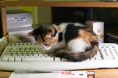 Patches:  Computer Technician by VincenzoF from flickr (CC-NC)