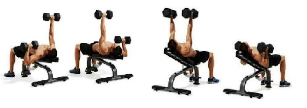 Ilustrasi program latihan fitness yang mencakup berbagai jenis latihan fisik, seperti angkat beban, kardio, dan latihan kekuatan, dengan panduan langkah demi langkah untuk membantu mencapai tujuan kebugaran yang optimal.