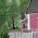 DAILY SKETCH - HOUSE