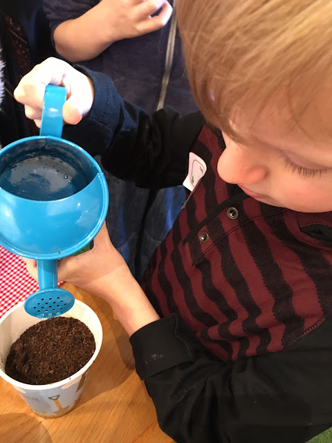 watering cress seeds