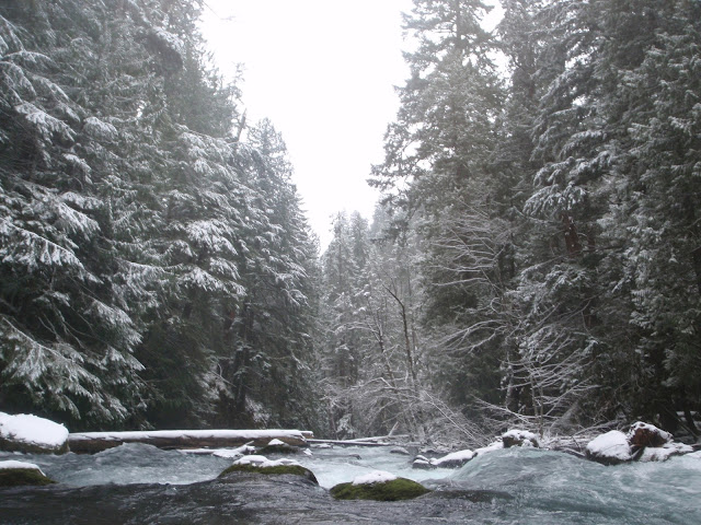 Daniel Patrinellis. Adrian Wigston, Mike Nash, Joe Howard, Scott Waidelich, Jeremy Bisson, Alex Podolak, Brad X, Logan Farrell, Kokatat, Dagger Kayaks, Confluence watersports, Canon 7D, Canon, Gopro, GoPro Hero2, Mamba, Nomad, Burn, Karnali, Little White Salmon River, Little White Salmon, LDUB, ldub, Little White, Hood River, Kayaking, Creeking, Carnage, WA, Washington, PNW