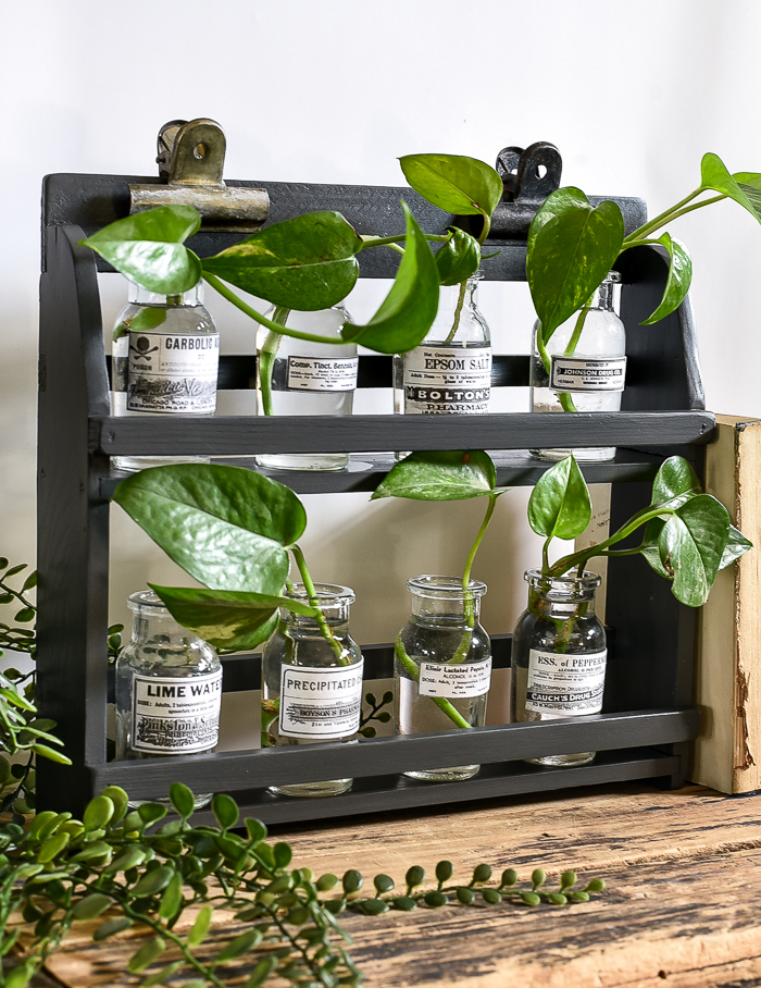 how to turn a spice rack into a propagation station