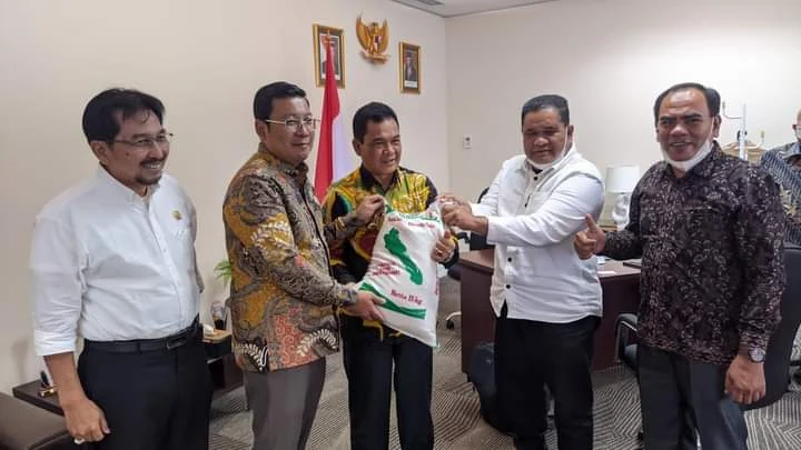 Pejabat Bupati Simeulue Lakukan Kunjungan Kerja di Badan Pangan Nasional RI