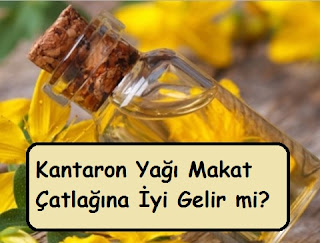 Kantaron Yağı Makat Çatlağına İyi Gelir mi?