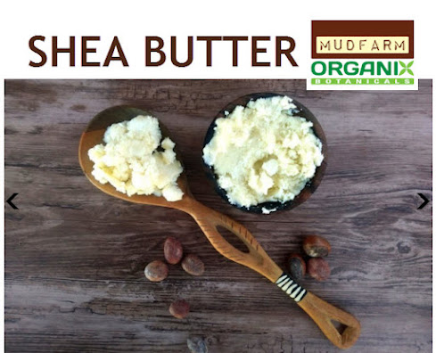 raw shea butter canada