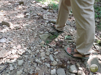 Calzado todo terreno en High Mountain Reserve Park, NJ