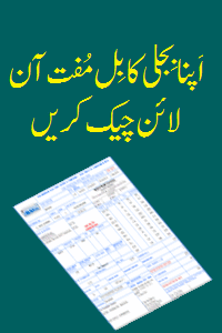 How to Check and Download  Electric Bill online free in Pakistan