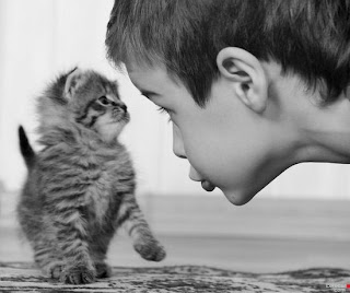 Kid and Cat Funny