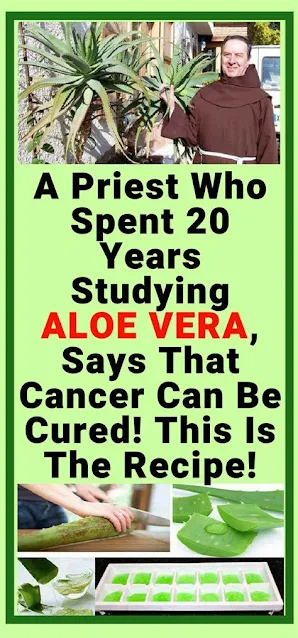 A Priest Who Spent 20 Years Studying Aloe Vera, Says That Cancer Can Be Cured! This Is The Recipe!