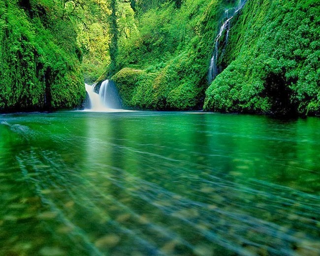 http://www.funmag.org/pictures-mag/nature/beautiful-green-nature-28-photos/