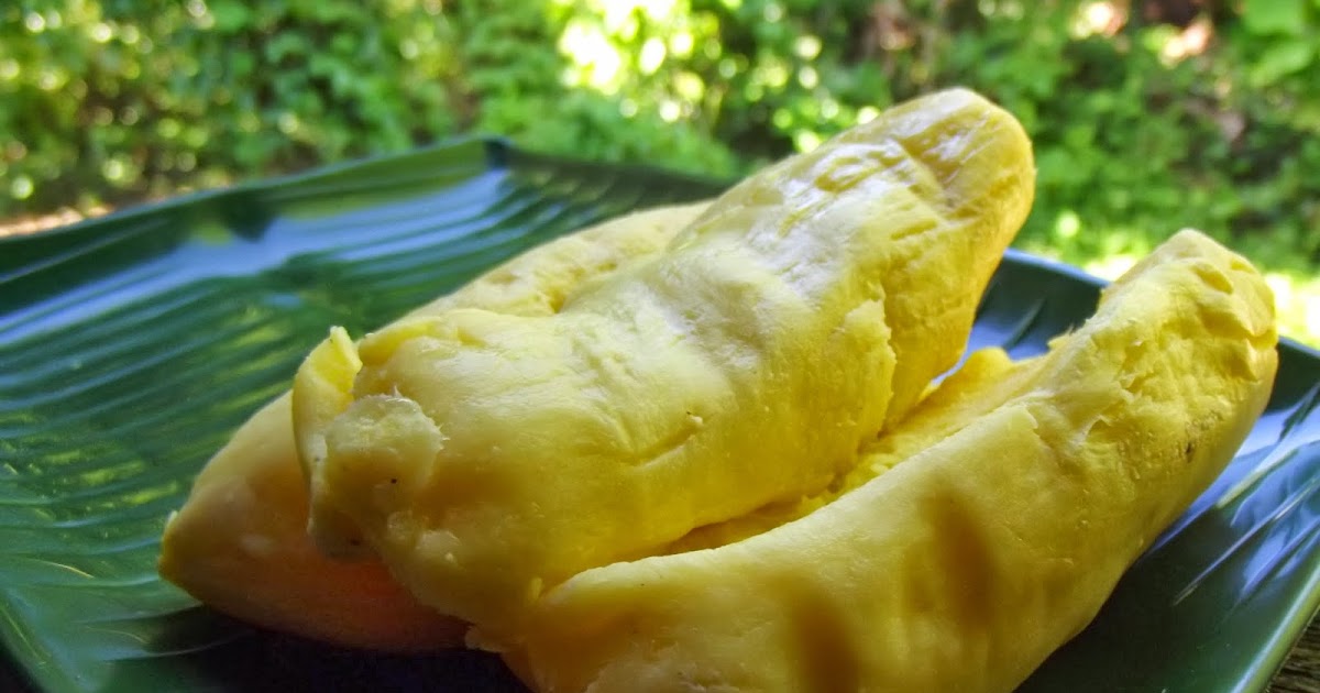 SALAM DUNIA: Resepi Tapai Ubi Kayu Goreng