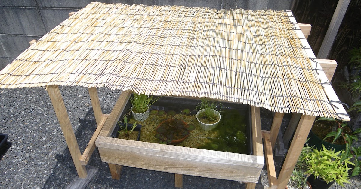 メダカのビオトープに屋根を製作 雨対策 夏の日差し対策 越冬対策 メダカの大工