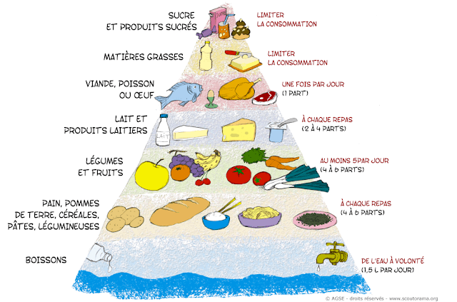 Piramida żywienia - słownictwo 4 - Francuski przy kawie
