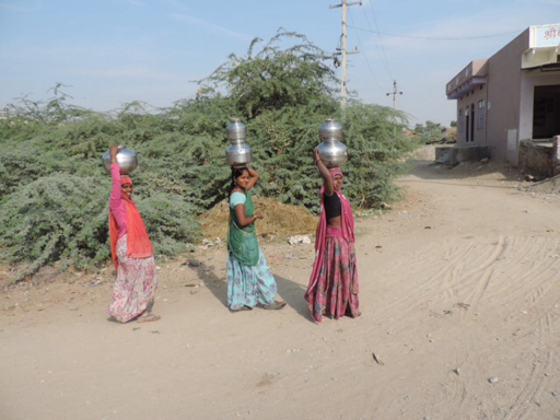 Rajasthan, India: on the road.