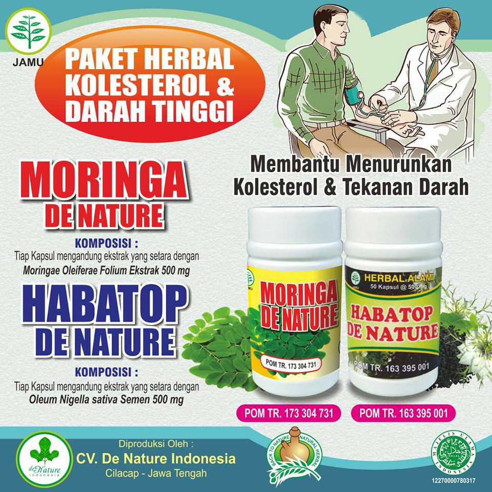 obat kolesterol naik de nature