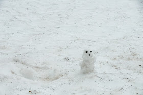 Bonhomme de neige réalisé sur l'Aurlandsfjellet