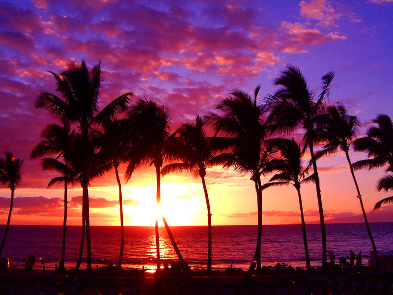 hawaii wallpaper. Hawaii sunset wallpaper