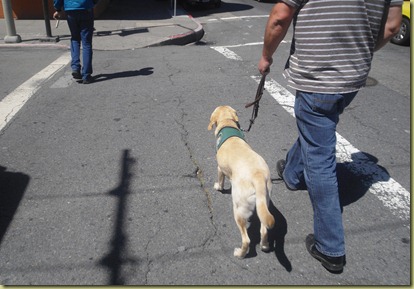Reyna crossing the street in SF.