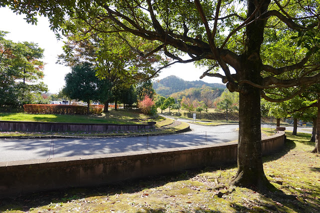 鳥取県西伯郡南部町鶴田 とっとり花回廊