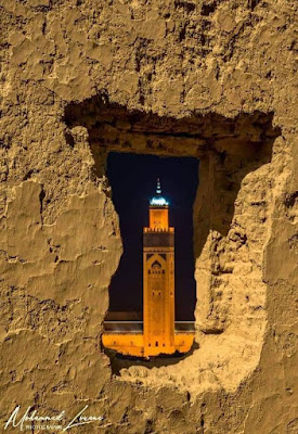 الكاتب الصحافي الأردني الفلسطيني / خالد جهاد يكتب مقالًا تحت عنوان (محمد لوان.. الكون لوحة فنية)..