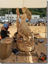 DSCN0373