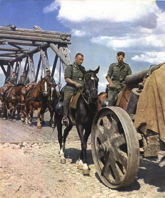 Horses in World War II worldwartwo.filminspector.com