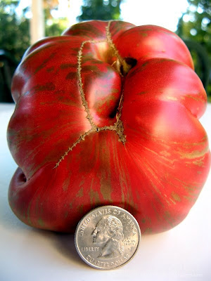 wild boar farms pink berkeley tie dye tomato