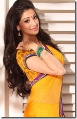 lakshmi_rai_latest_gorgeous_photo_in_saree