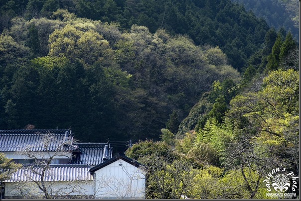 D700_2013-04-27_023