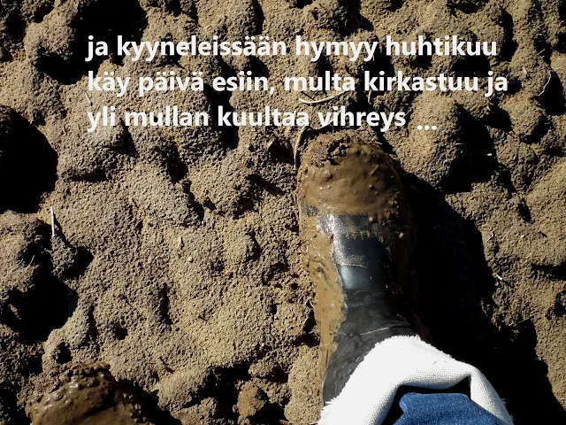 pelto, saapas, multa, kevät