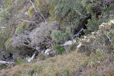 Cradle Mountain