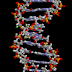 Biología: Bases nitrogenadas  